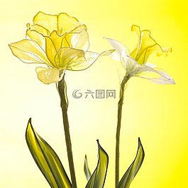 装修,花,业余爱好