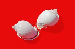 蜗牛,传染,陆战队