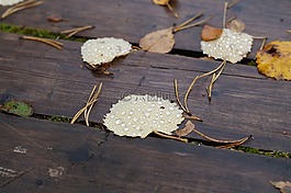 工作表,滴,雨