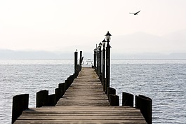 网站,木板路,水