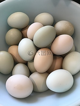 鸡蛋,蜡笔,自主开发