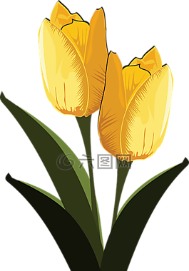 剪贴画,弗洛尔,植物区系