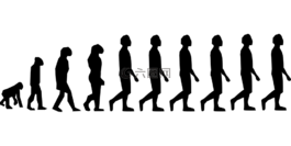 演化,查尔斯 · 达尔文,男子