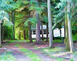 山寨,国家,建设