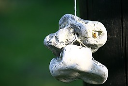 孔在岩石,石头,挂