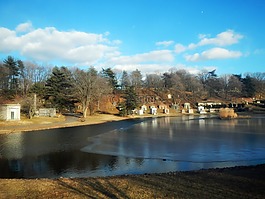 布鲁克林,纽约城,城市