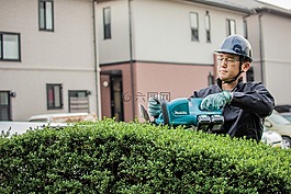 一个活生生的栅栏,ppe,布什