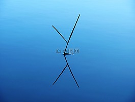 性质,水,亮点