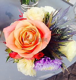 玫瑰,斯特劳斯,鲜花