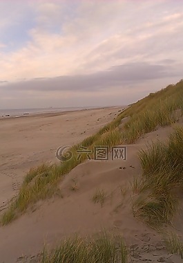 北海,沙丘,stranddüne