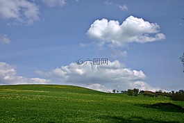 景观,草地,希尔