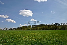 景观,春天,希尔