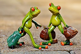 青蛙,滑稽,旅行