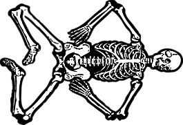 骨架,死亡,头骨