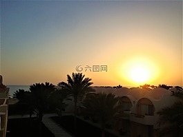 日落,棕榈树,圆顶