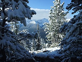 班夫,加拿大,雪