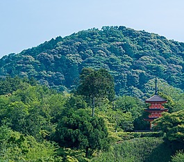 京都,日本,山