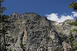 山,森林,落基山国家公园