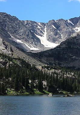 山,森林,落基山国家公园
