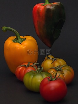蔬菜,宏,蕃茄