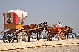 马车,马,埃及