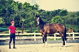 horse,riding,马术