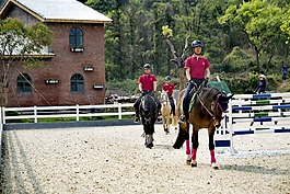 horse,riding,马术