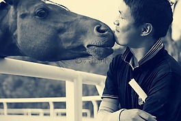 horse,riding,马术