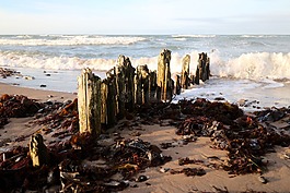 滨,海岸,海滩
