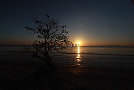 日落,晚上,景观