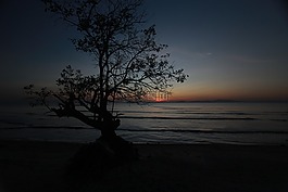 日落,晚上,景观
