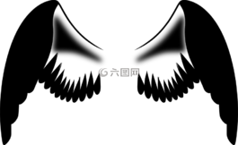 天使的翅膀,翅膀,天使
