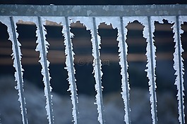 弗罗斯特,冷,雪