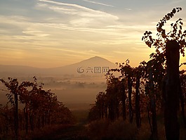 提供传真机,szársomlyó,葡萄