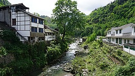 青山,绿水,避暑1