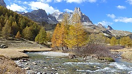 景观,阿尔卑斯山,性质
