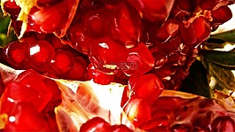 水果,格拉纳达,树