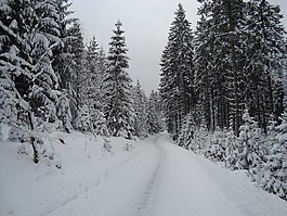 温特贝格,德国,雪