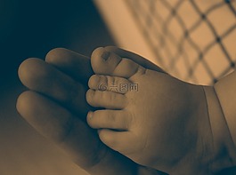 婴儿,脚,新生