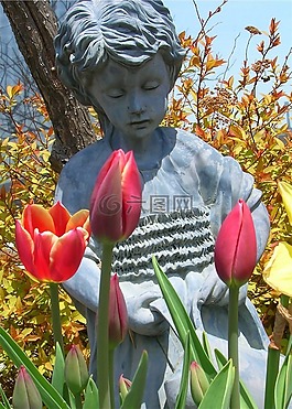 女孩,郁金香,喷壶