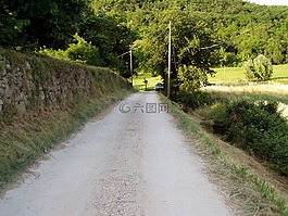 路,通过,树