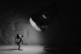 唐老鸭,聚光灯,漫画
