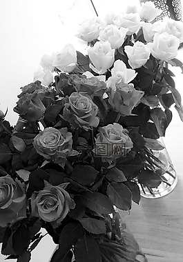 玫瑰,花束,鲜花