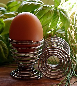 鸡蛋,持有人,eggcup