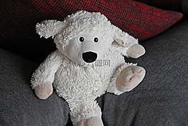 玩具熊,玩具,泰迪熊