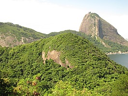 巴西,里约热内卢,mar
