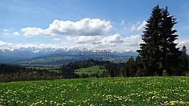 山,冬奥会,波兰