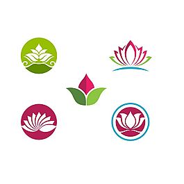 花和叶子logo