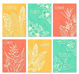 6款创意白色 夏季热带植物卡片