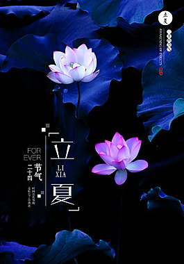 立夏节日海报